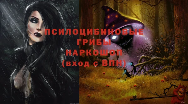 меф Арсеньев