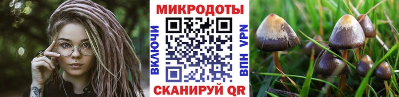 купить наркоту  Гулькевичи  Псилоцибиновые грибы Psilocybe 